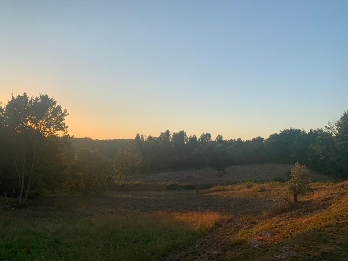 A Casa Amarela Lägenhet Pinheiro de Coja Exteriör bild