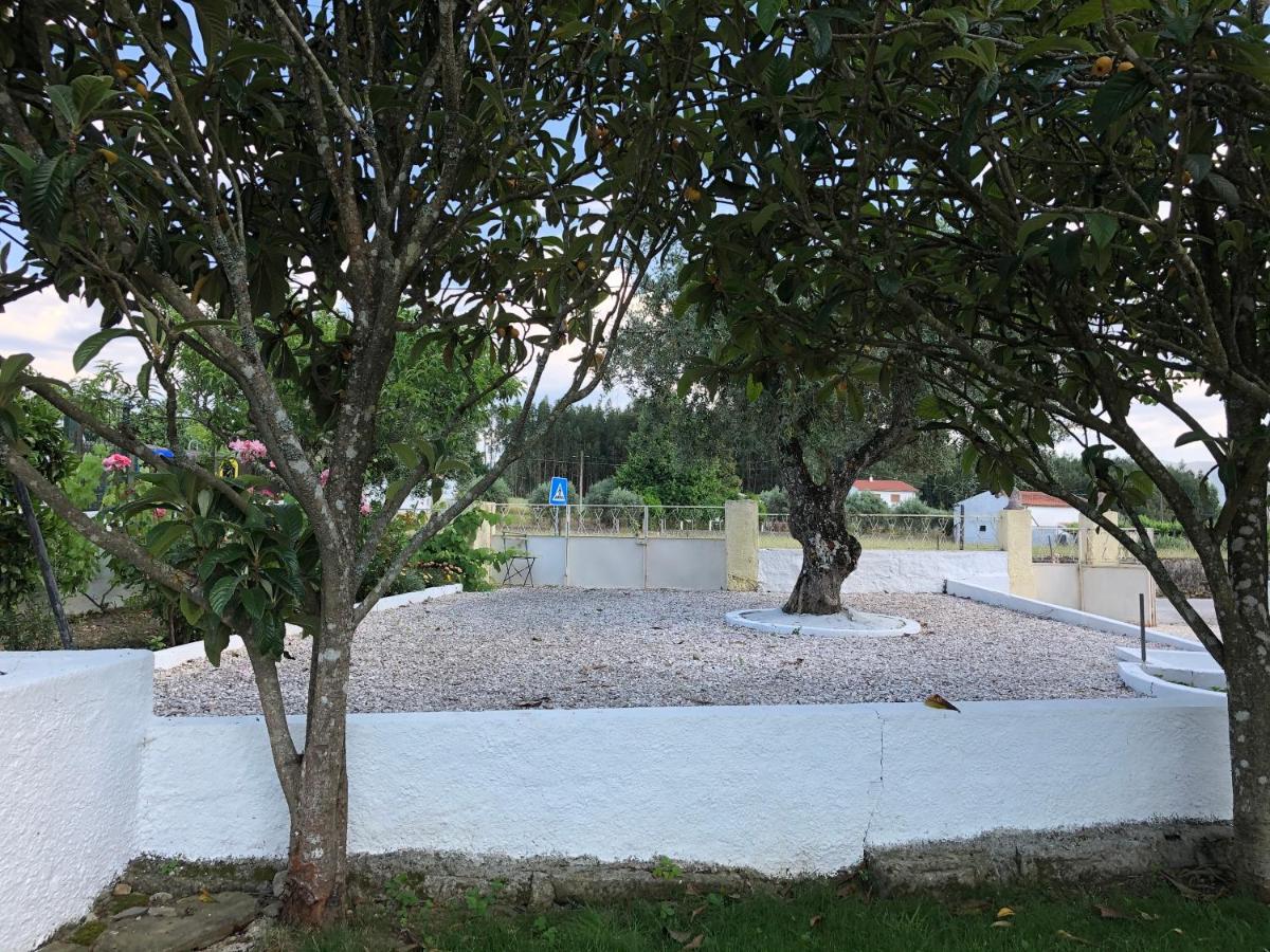 A Casa Amarela Lägenhet Pinheiro de Coja Exteriör bild