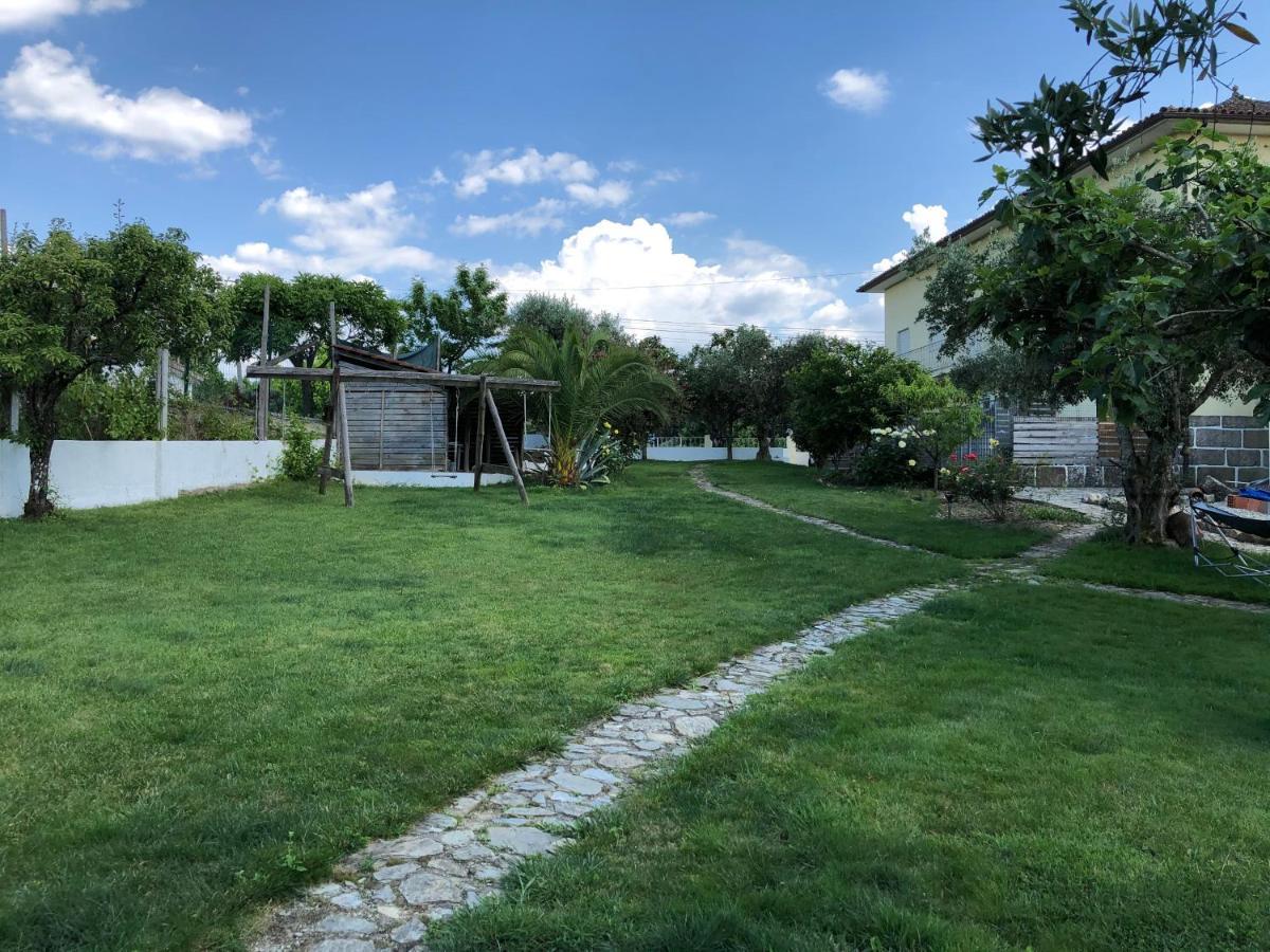 A Casa Amarela Lägenhet Pinheiro de Coja Exteriör bild