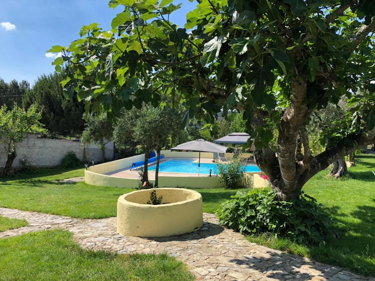A Casa Amarela Lägenhet Pinheiro de Coja Exteriör bild