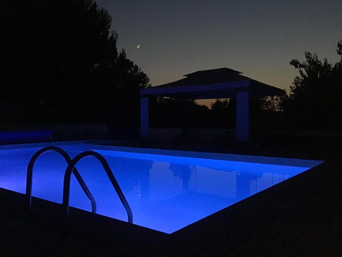 A Casa Amarela Lägenhet Pinheiro de Coja Exteriör bild